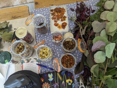 Cours ecoprint et tataki-zomé à l'atelier ADN Laine, 71220 Pressy Sous Dondin, en bourgogne du Sud