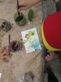 Encre végétale pour enfant, couleurs naturelles
