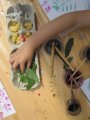 Outils et matériaux pour l'atelier encre végétales avec les enfants