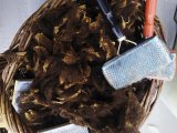 atelier enfant carder la laine de mouton