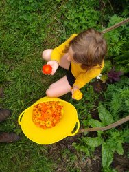 atelier enfant teinture naturelle à ADN Laine 71220 Pressy Sous Dondin en Bourgogne du Sud