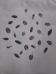 Stage Hapazome, plantes à tanins, teinture végétale, ADN Laine en Bourgogne du Sud