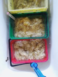 formation tri des toisons et lavage de laine de brebis à ADN Laine 71220 Pressy sous dondin, en sud Bourgogne