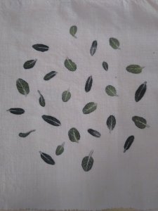 Stage Hapazome, plantes à tanins, teinture végétale, ADN Laine en Bourgogne du Sud
