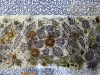 Stage Ecoprint, teinture végétale, ADN Laine 71220 pressy sous dondin, en Bourgogne du Sud