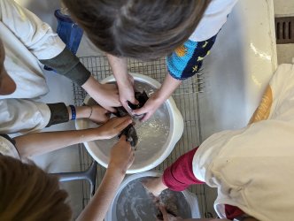 Atelier halloween lanterne en feutre à ADN Laine, 71220 Pressy-sous-Dondin en Bourgogne du Sud 