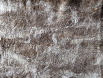 Stage de feutre, à ADN Laine, 71220 Pressy Sous Dondin, en Bourgogne du sud