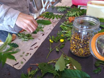 stage teinture naturelle Ecoprint à ADN laine en Bourgogne du Sud