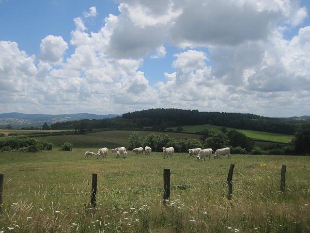 Paysage de bourgogne